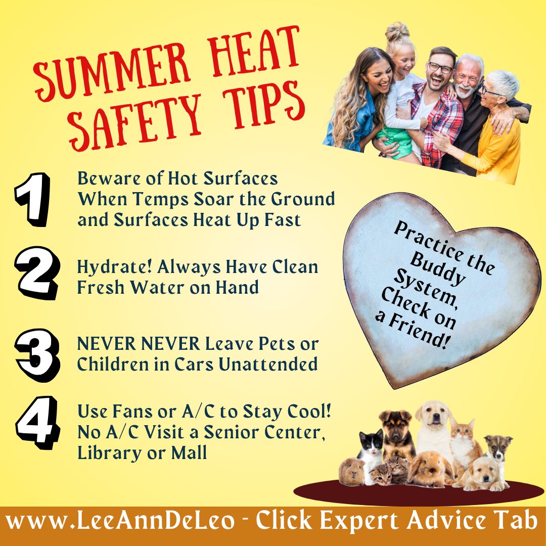 Summer is here! Here are some summer heat safety tips for pets, children and seniors. Summer brings sunshine, longer days, and more time outdoors—but it also brings extreme heat that can be dangerous if we’re not prepared. Pets, young children, and elderly individuals are especially vulnerable when temperatures climb. Whether you're at home, out for a walk, or visiting a local farm or park, here are practical tips to stay safe and cool during the hottest months.
