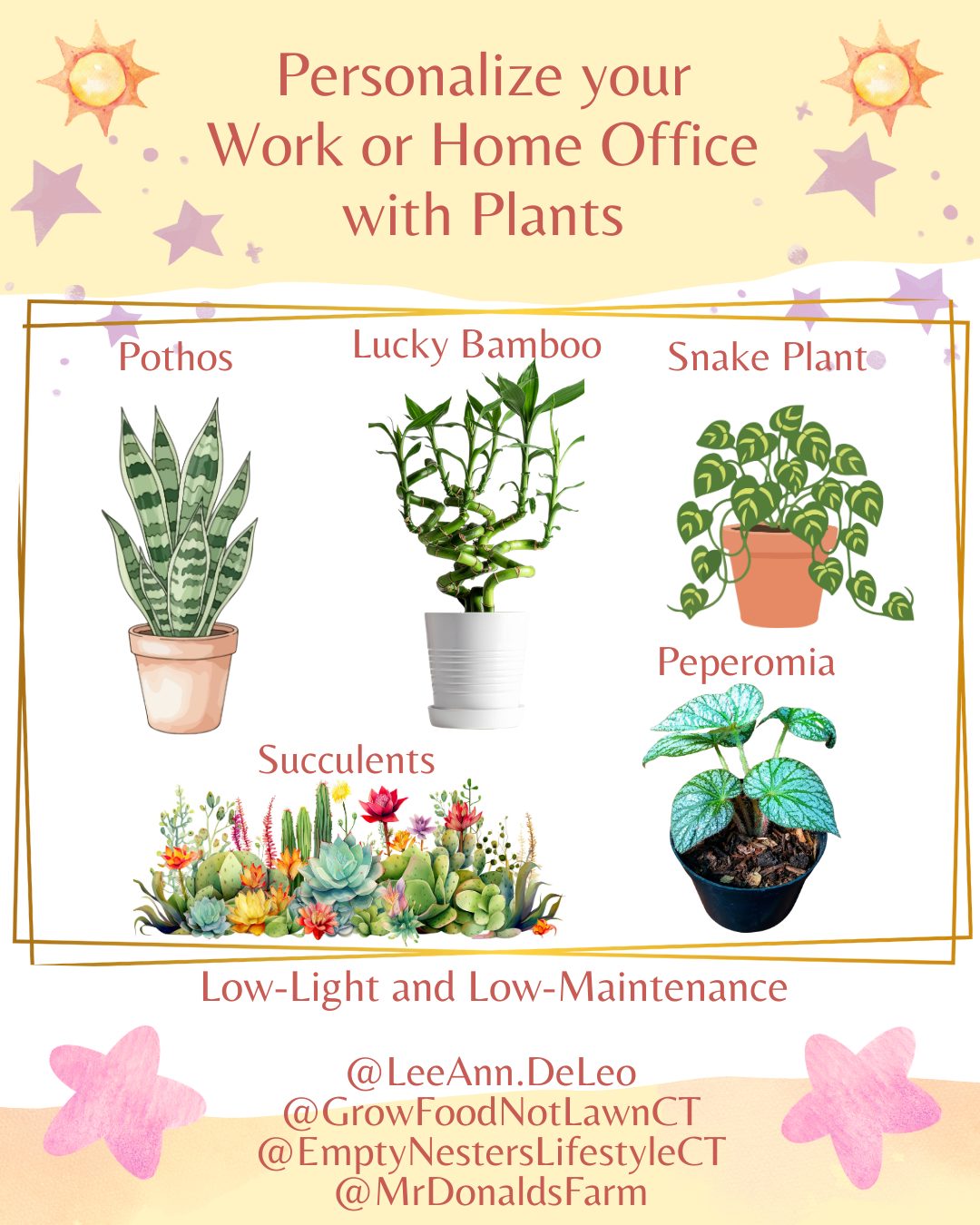 A little greenery goes a long way. Low‑light, low‑maintenance plants can transform any desk or corner into a calmer, happier space.